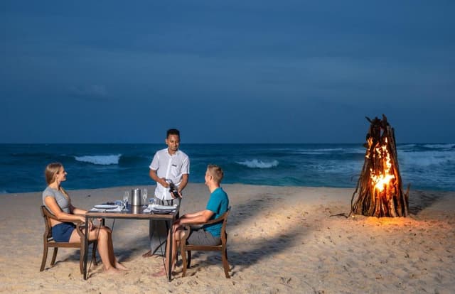 Dinner with Bonfire