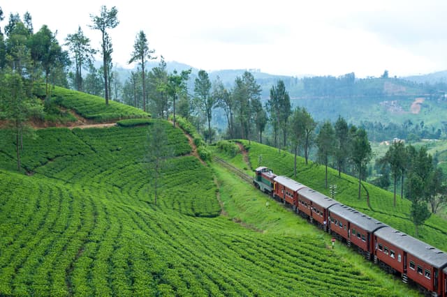 Train Ride