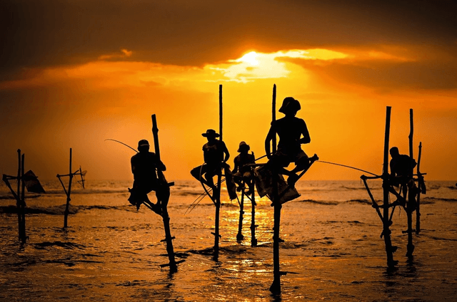 Stilt Fishing