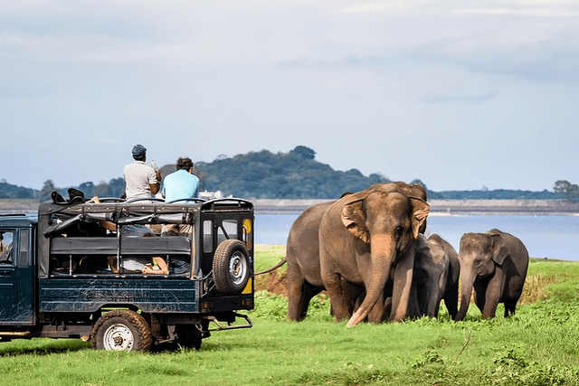 Jeep Safari
