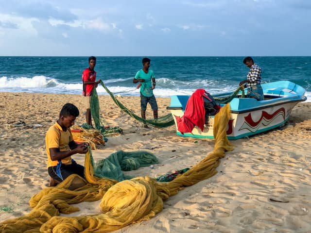 Fishing Activities