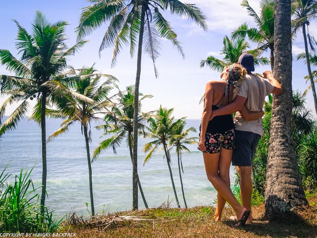 Coconut Tree Hill