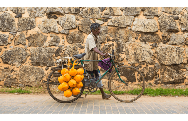 Local Life