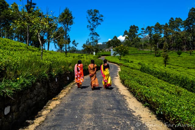 Explore Quiet Village