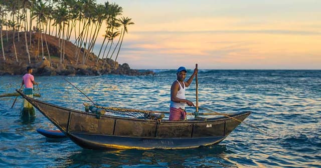 Local Life