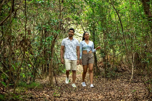 Jungle Walk