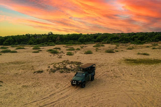 Sand Dunes in Yala