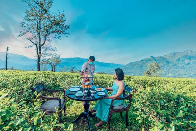 Picnic Meal