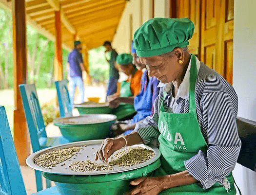 Artisanal Tea