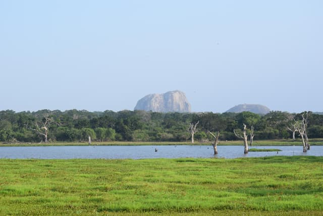 Elephant Rock