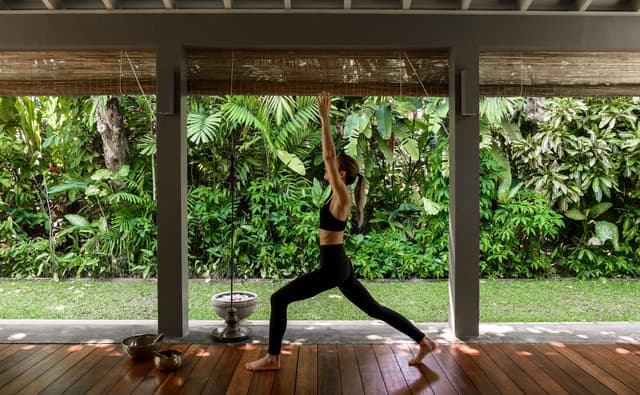 Yoga & Meditation