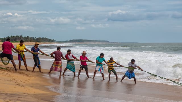 Fishing Activities