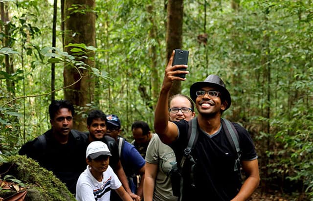 Forest Selfie 