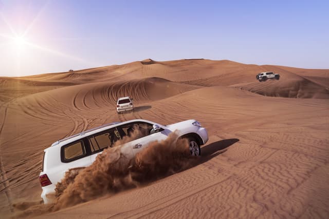 Dune Bash