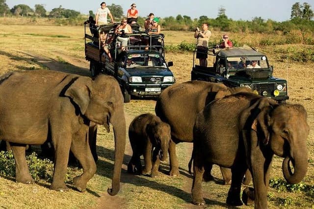 Jeep Safari