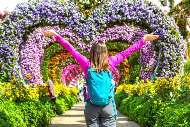 Miracle Garden