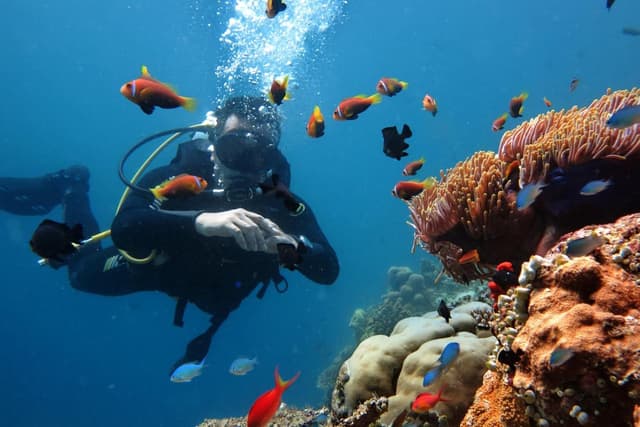 Diving