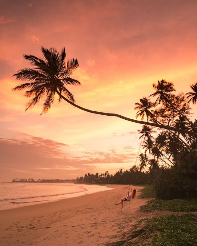 Palm Tree Rope Swinging