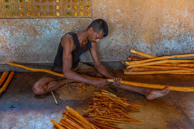 Cinnamon Peeling