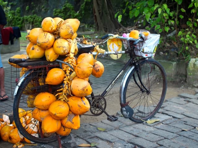 King Coconuts