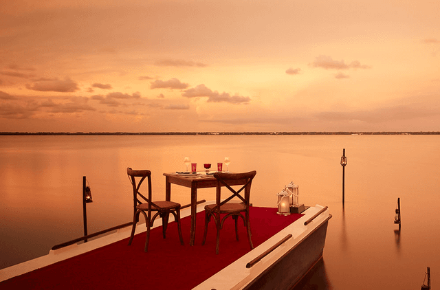 Dusk Dining Vibes