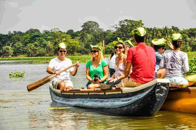 Enjoy a Boat Safari