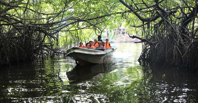 Bentota Boat Safari