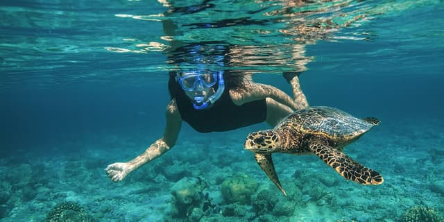 Snorkeling 