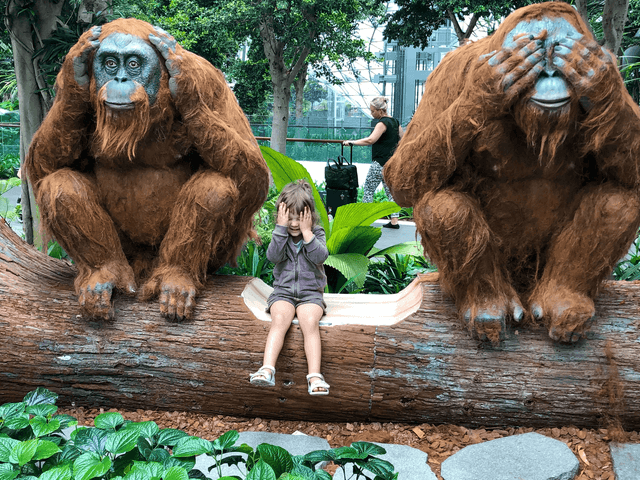 Canopy Monkeys