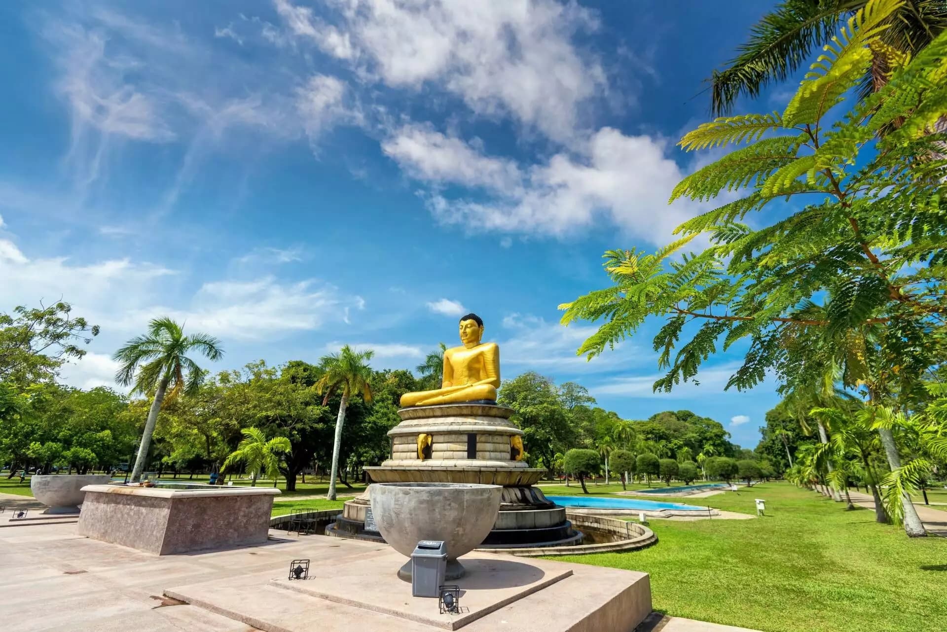 https://olanka-strapi-live-s3.s3.ap-southeast-1.amazonaws.com/Colombo_In_Sri_Lanka_8_0db3a5885a.jpg