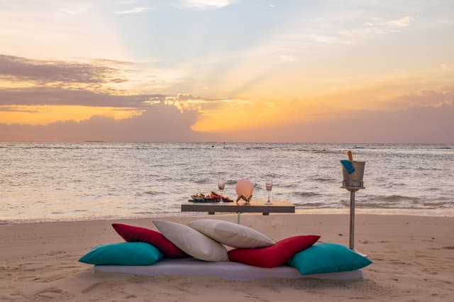 Beach Dinner