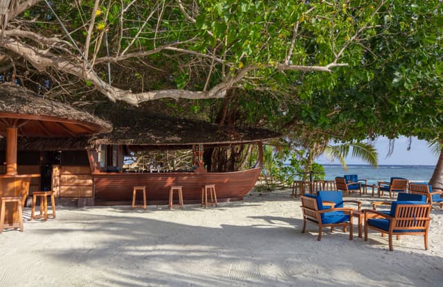 Dhoni Bar