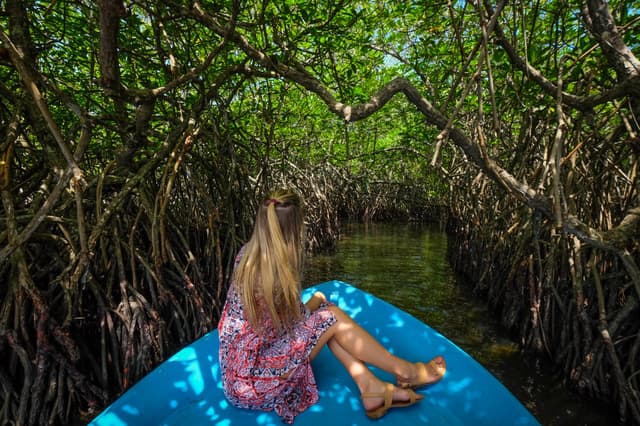 Forest Boat Tour