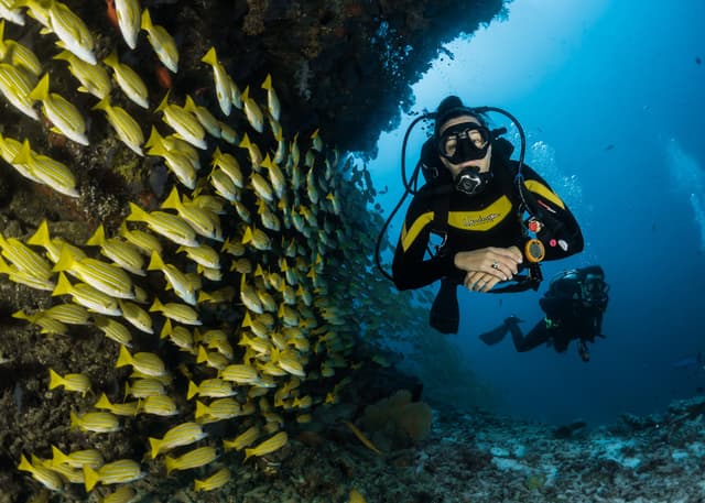 Diving