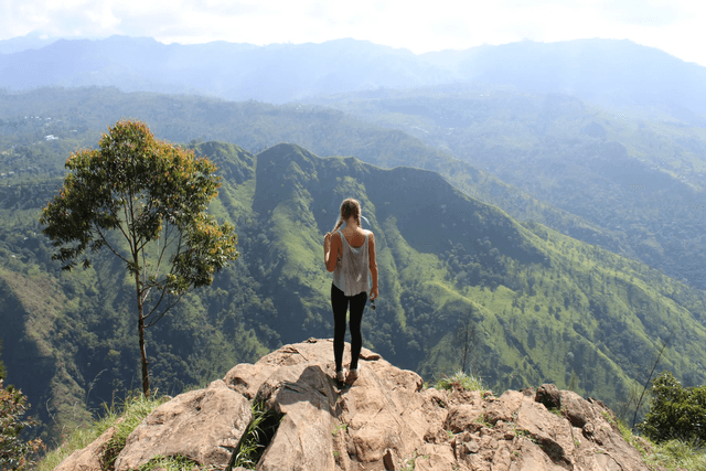Ella Rock Lookout