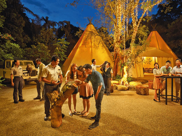 Night Safari