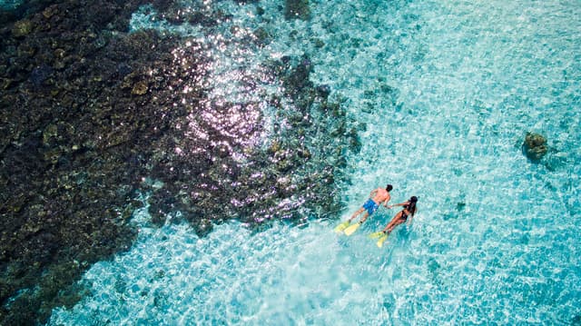 Snorkeling