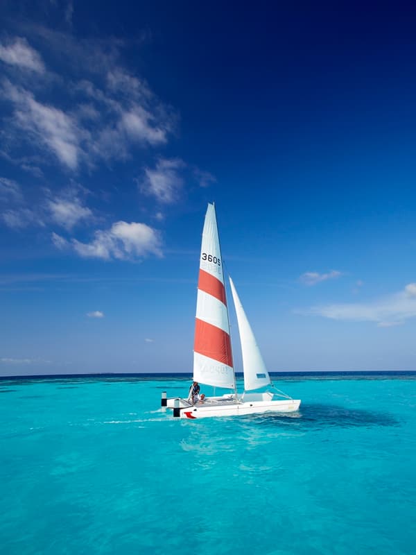 Catamaran Top Cat
