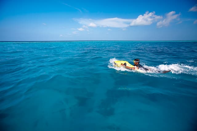 Seabob
