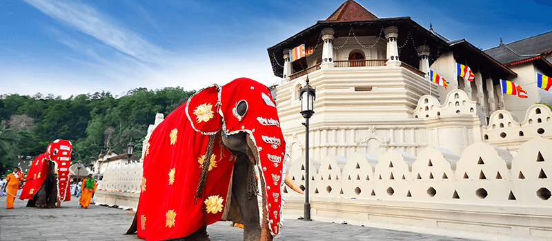 https://olanka-strapi-live-s3.s3.ap-southeast-1.amazonaws.com/Kandy_bc75409c8f.png
