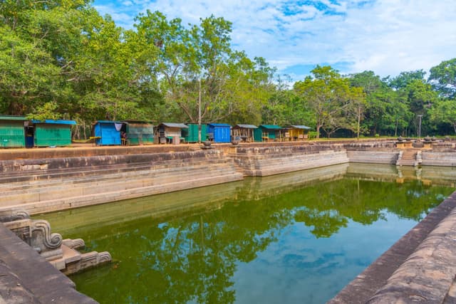 Twin Ponds