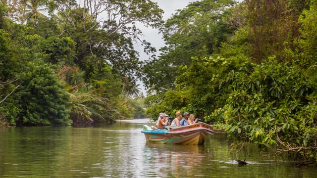 Lagoon Boat Tour 