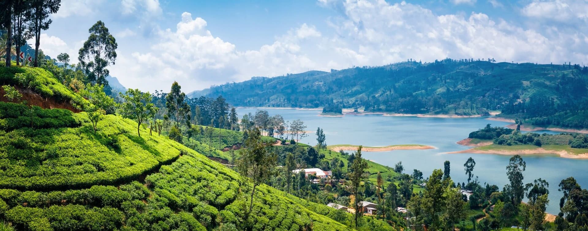https://olanka-strapi-live-s3.s3.ap-southeast-1.amazonaws.com/Nuwara_Eliya_Sri_Lanka_971c6f2da3.jpg