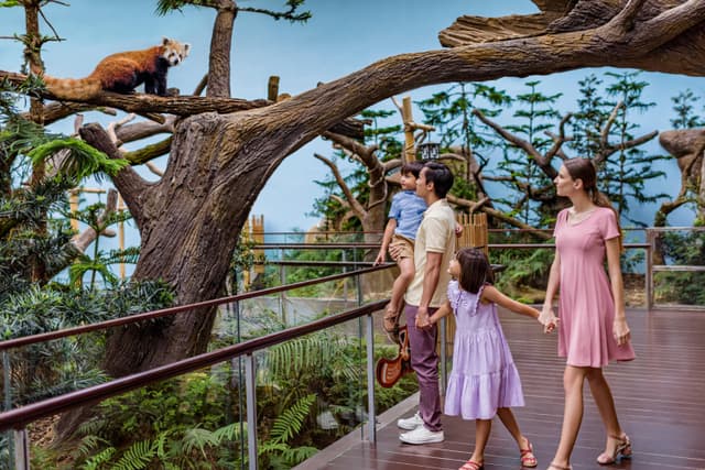 Singapore Zoo