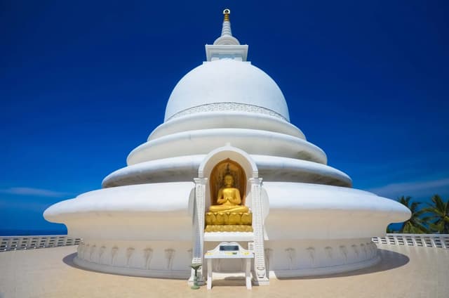 Visit Buddhist Temples