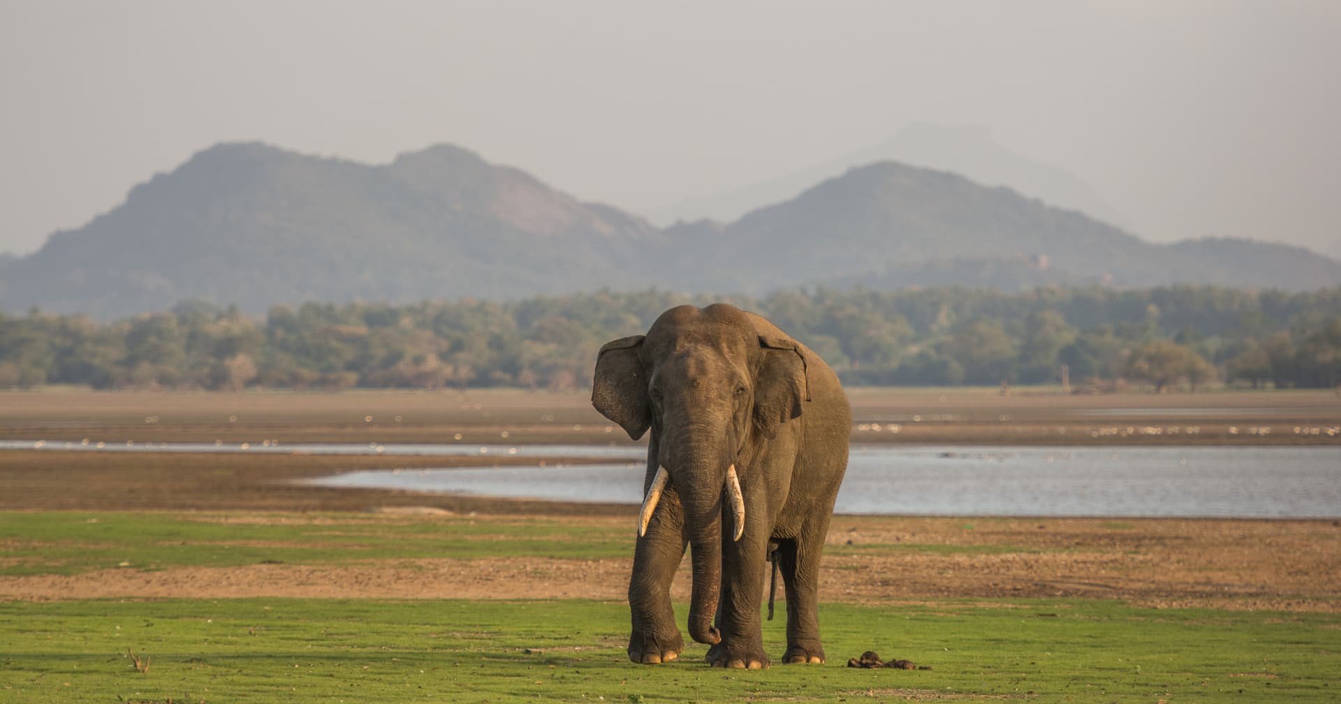 https://olanka-strapi-live-s3.s3.ap-southeast-1.amazonaws.com/Safari_with_Gentle_Giants_740ae88719.jpg