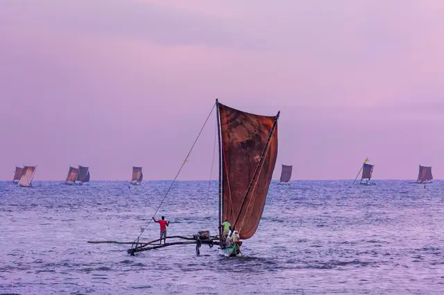 Sail Boats