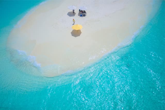 Sandbank Picnic