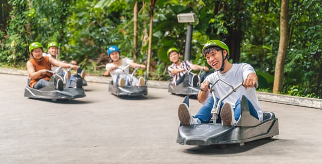 Skyline Luge
