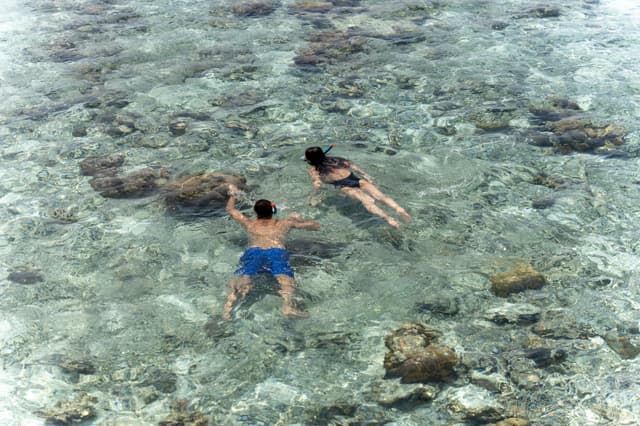 Snorkeling